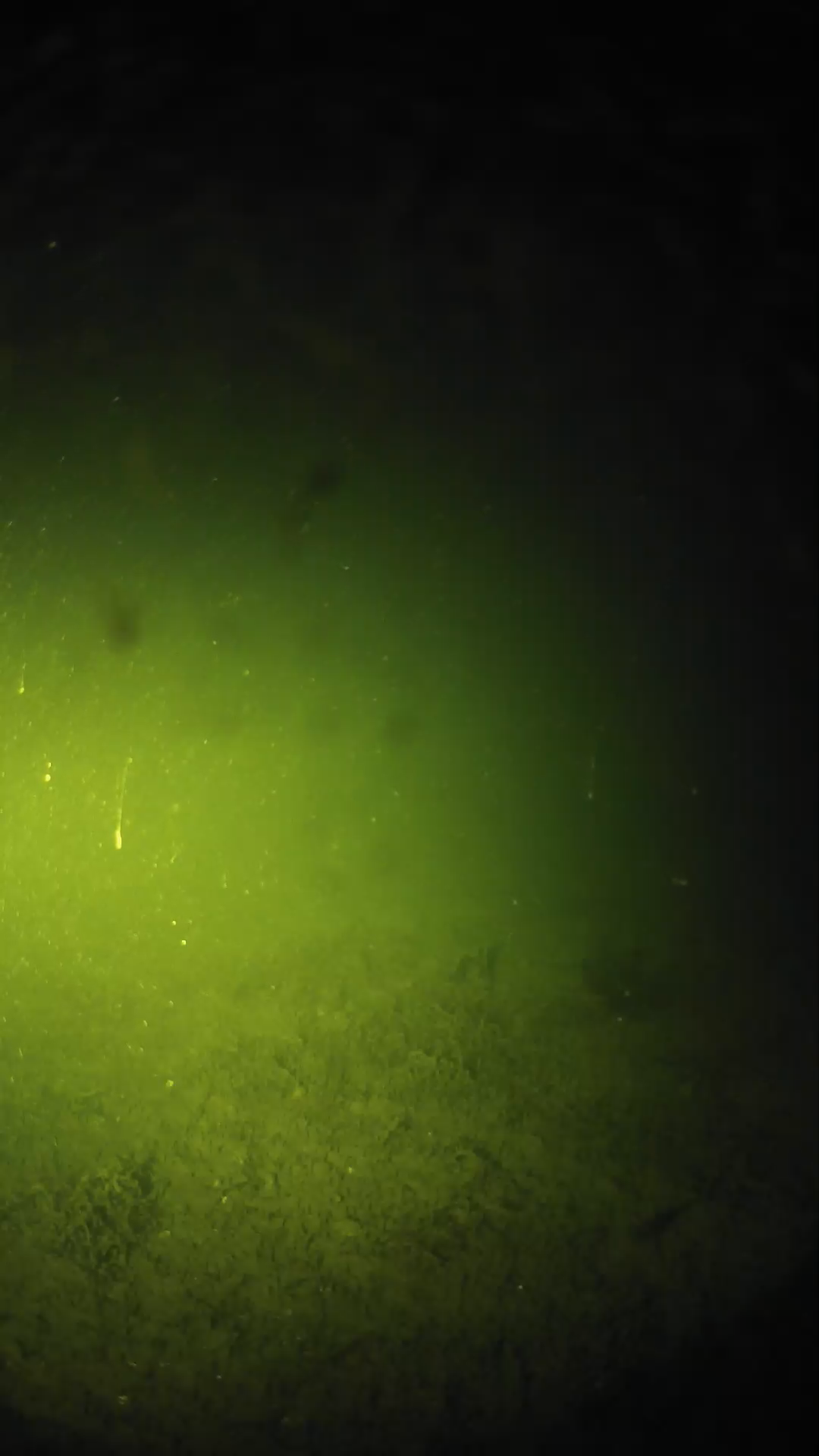 lander_ipcam_20240624040539.png