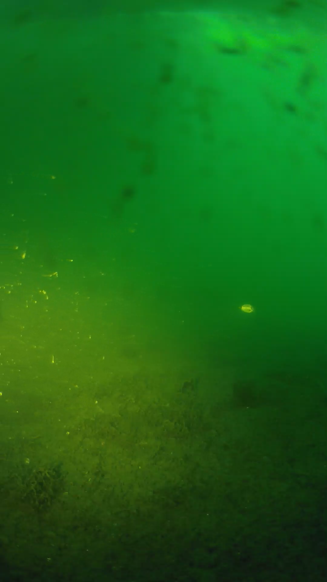 lander_ipcam_20240624050603.png