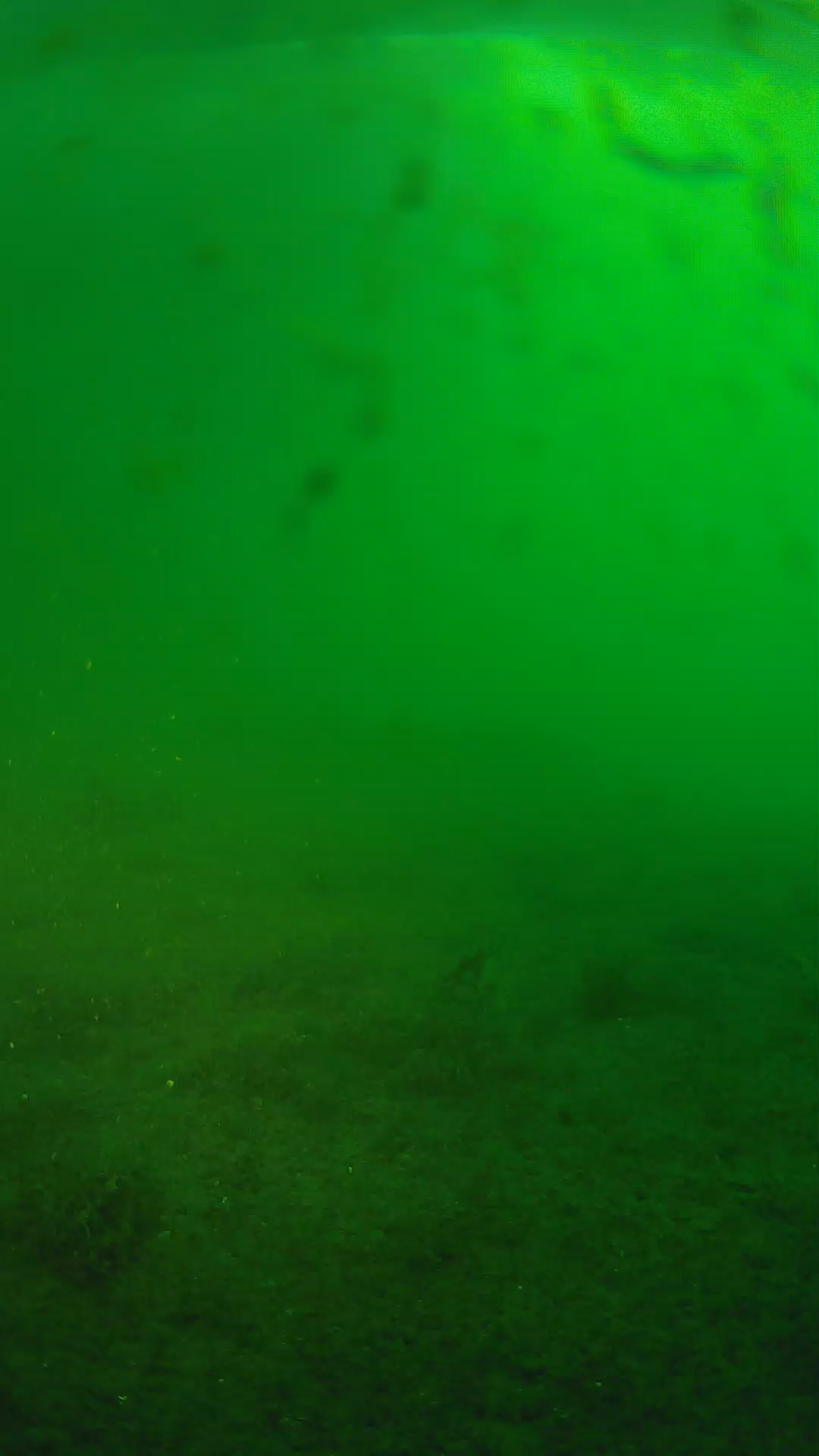 lander_ipcam_20240624053544.png