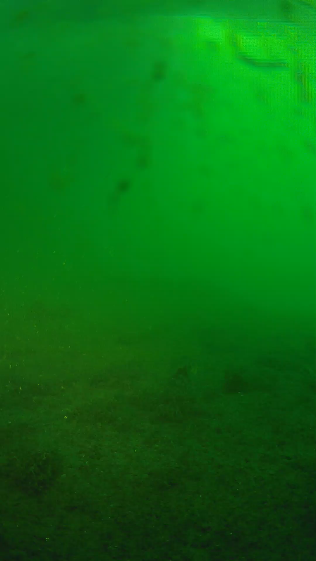 lander_ipcam_20240624053557.png