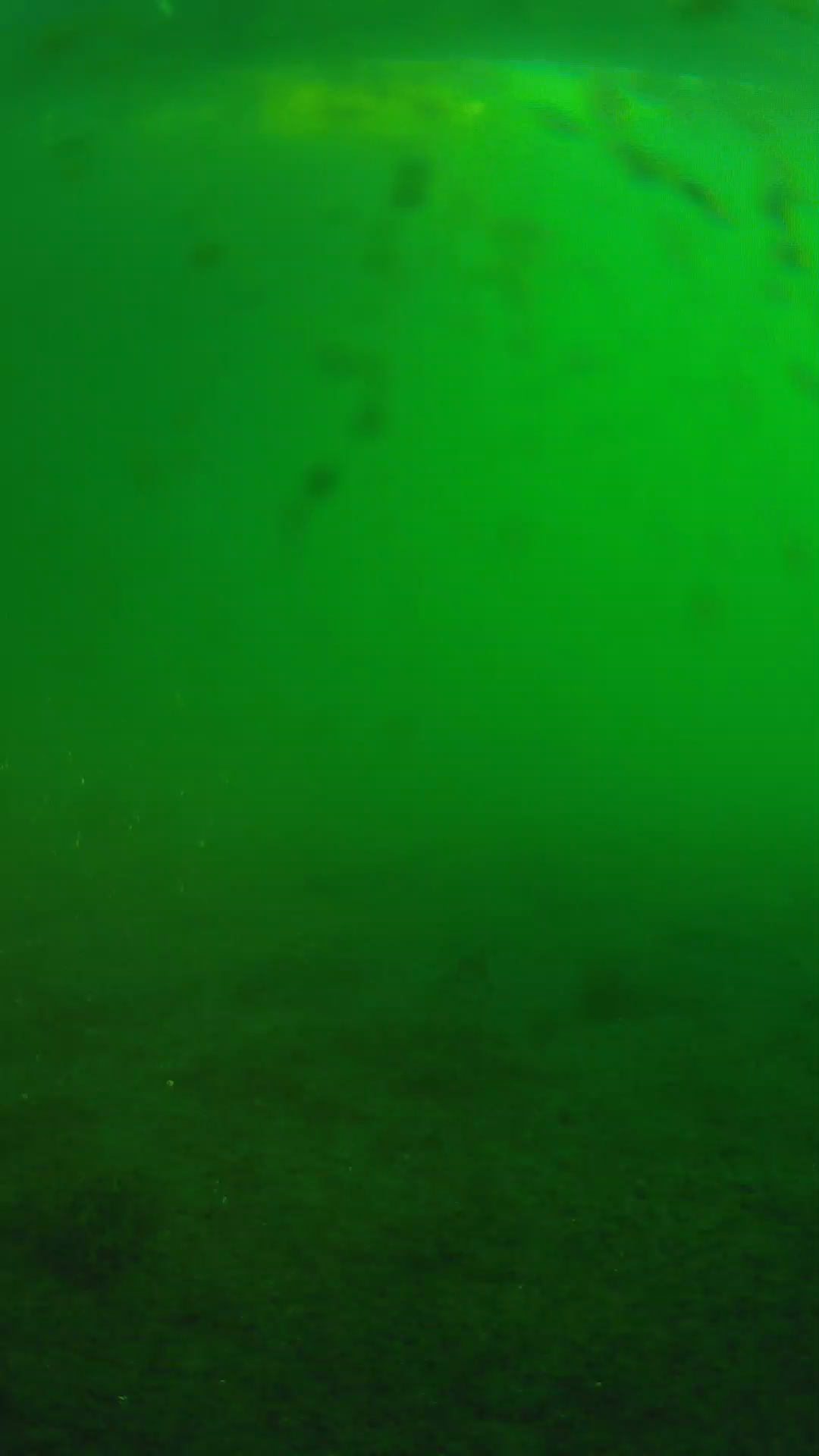 lander_ipcam_20240624060540.png