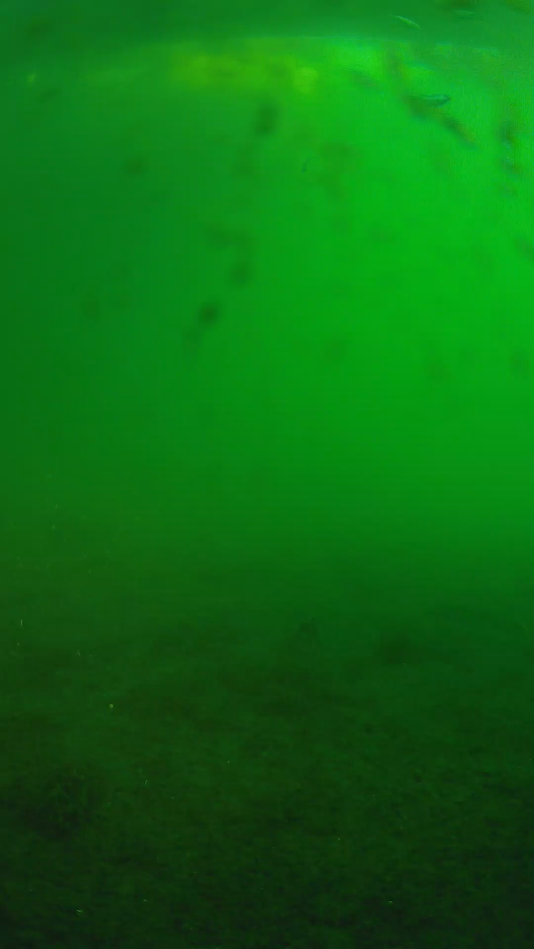 lander_ipcam_20240624060558.png