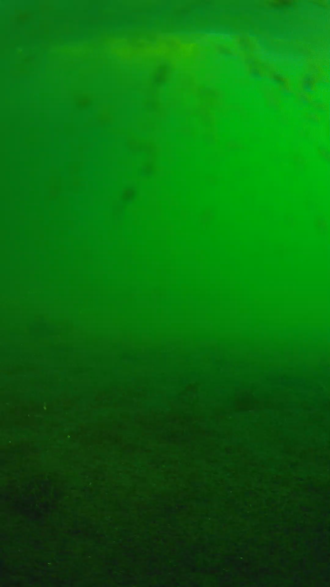 lander_ipcam_20240624063539.png