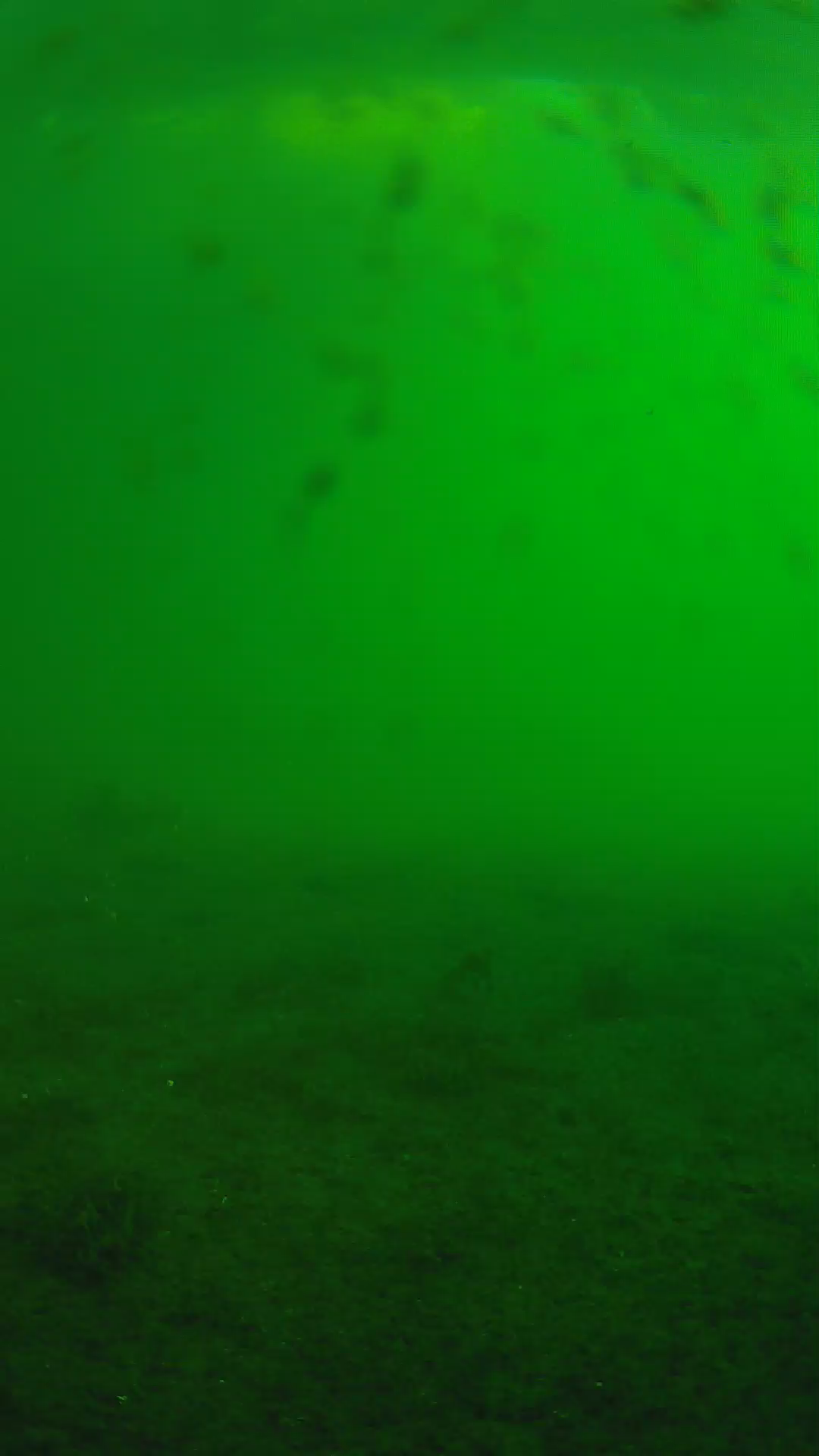 lander_ipcam_20240624063600.png