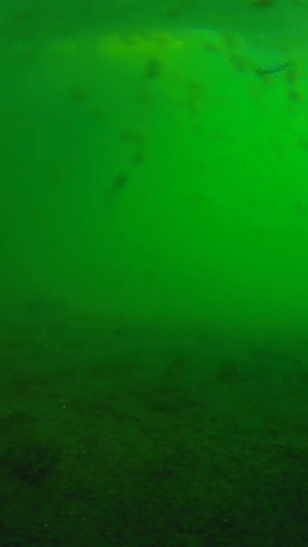 lander_ipcam_20240624063602.png