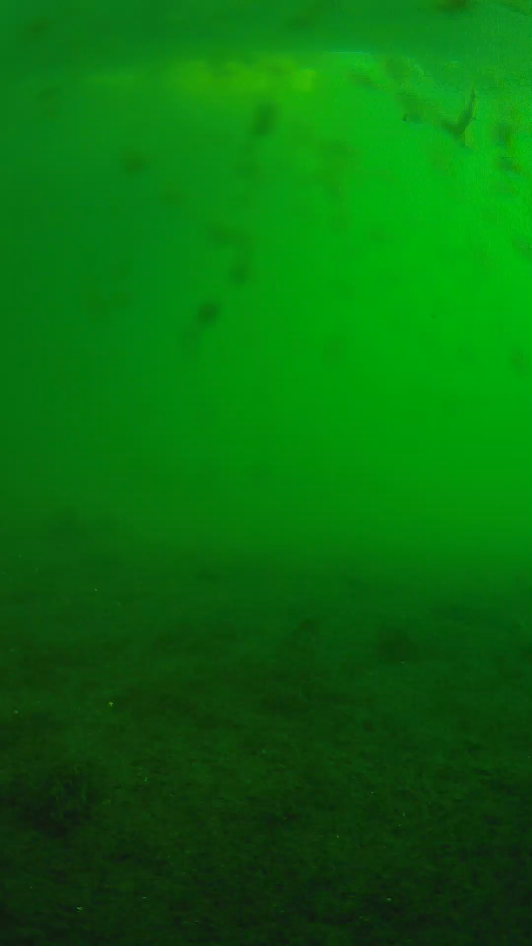lander_ipcam_20240624063604.png