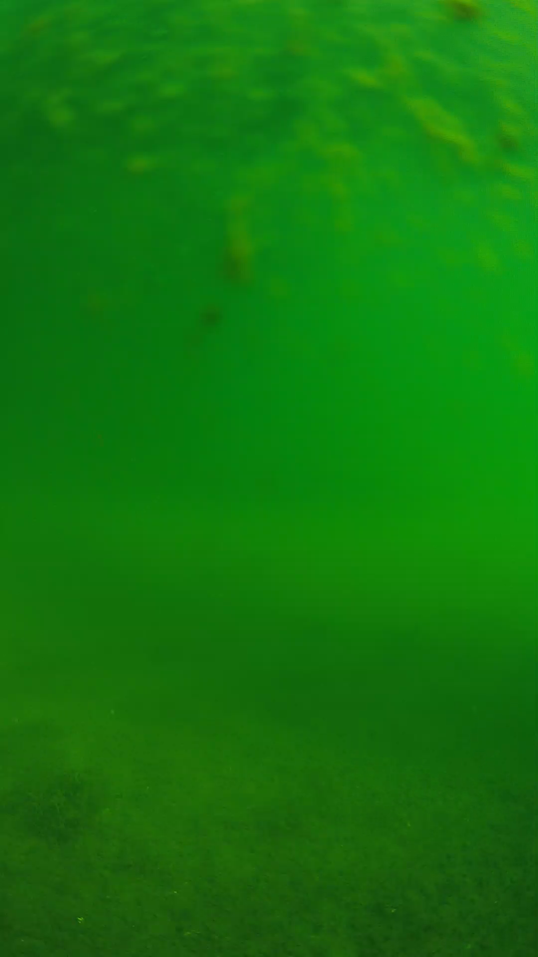 lander_ipcam_20240624083541.png