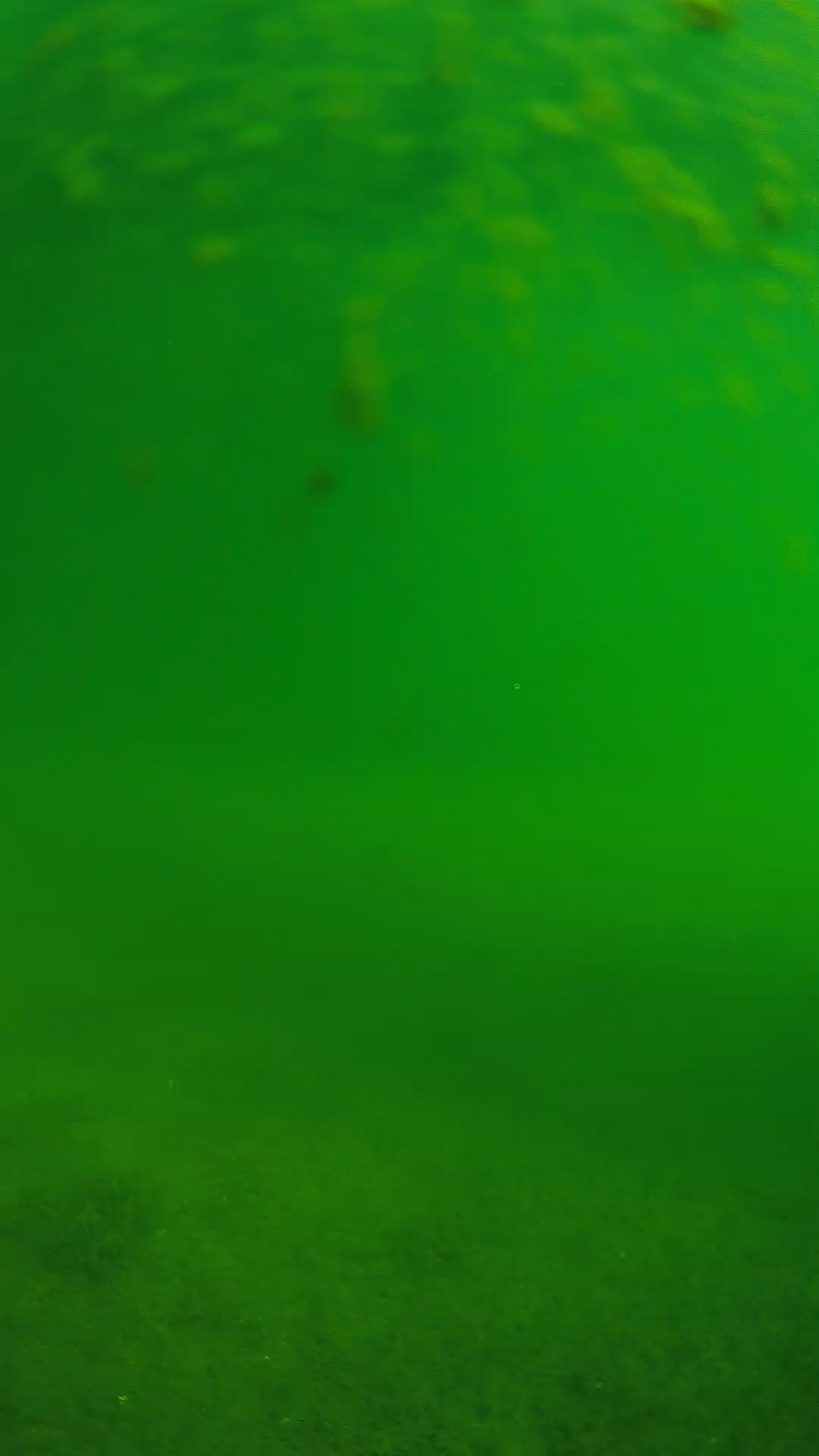 lander_ipcam_20240624083543.png