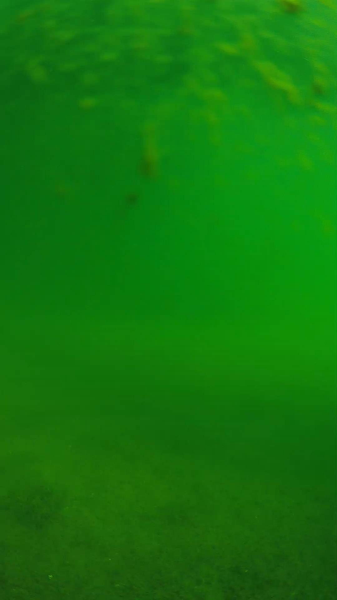 lander_ipcam_20240624083556.png
