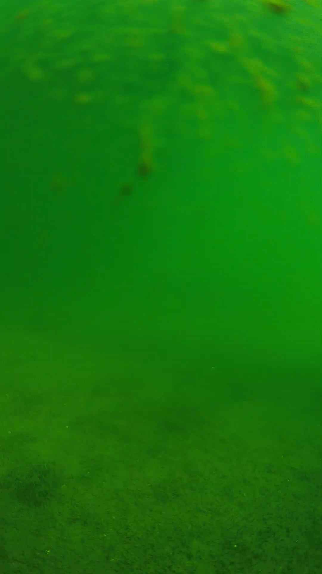 lander_ipcam_20240624090545.png