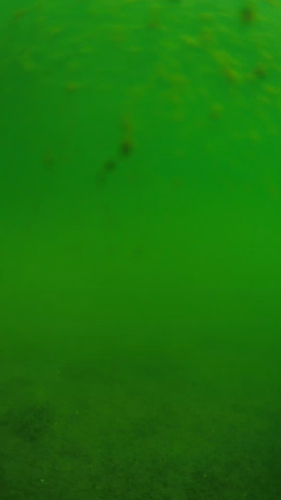 lander_ipcam_20240624093538.png