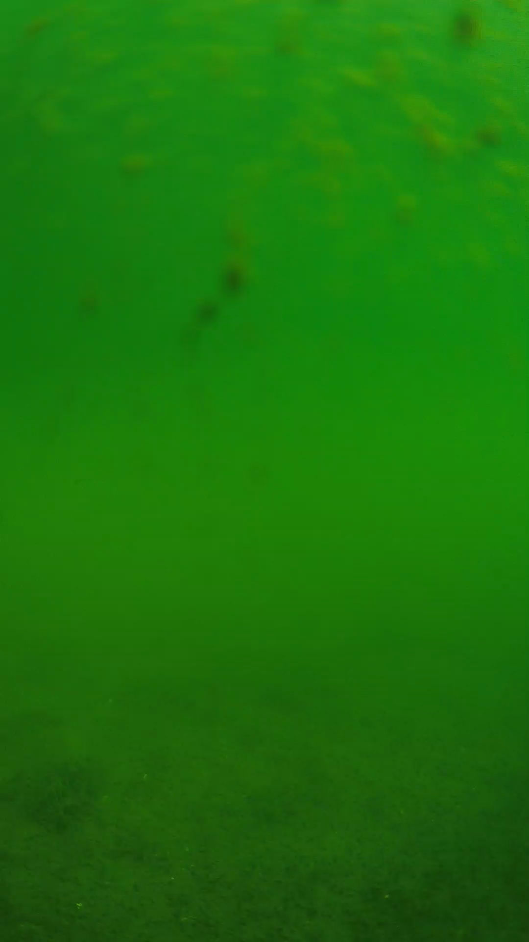 lander_ipcam_20240624093543.png