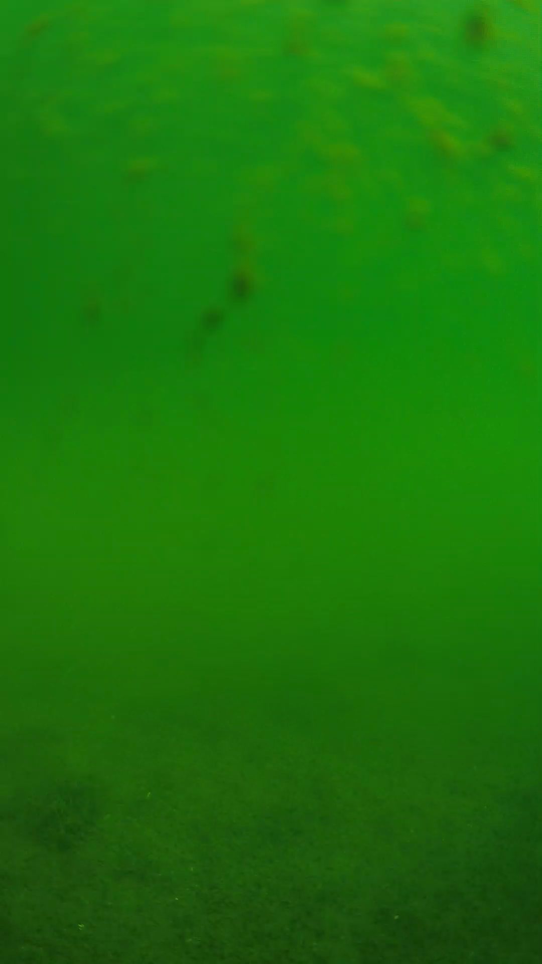 lander_ipcam_20240624093546.png