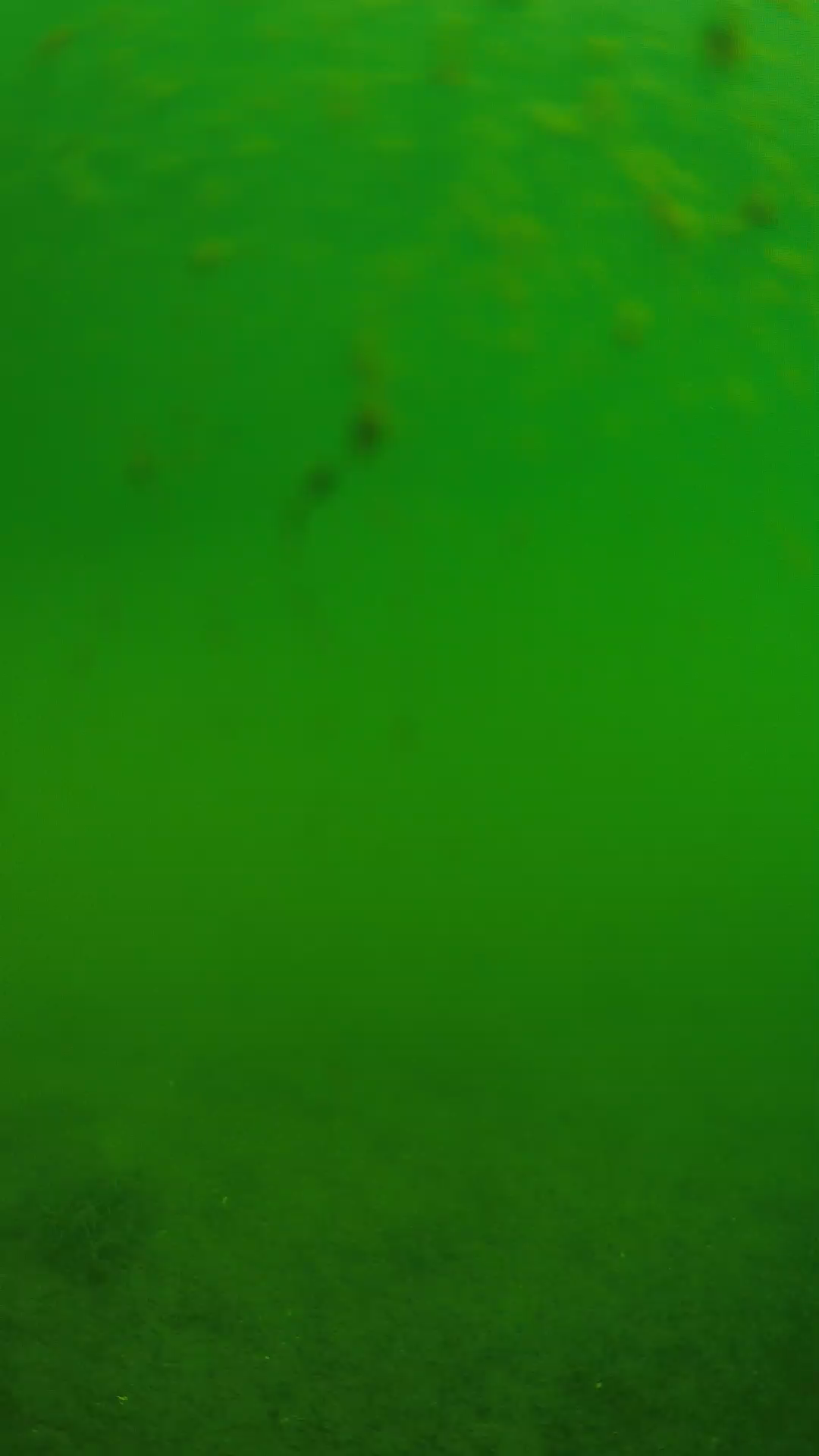 lander_ipcam_20240624093551.png