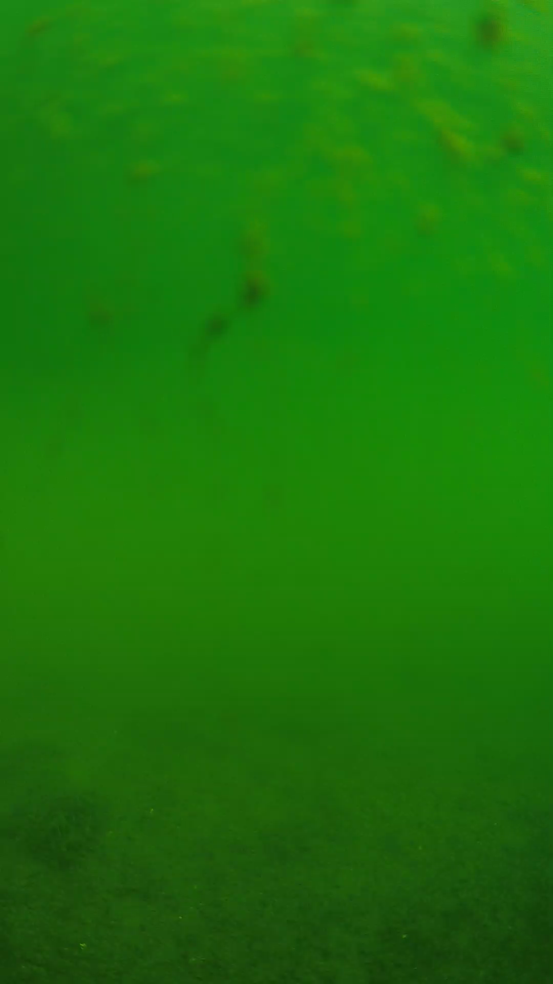lander_ipcam_20240624093552.png