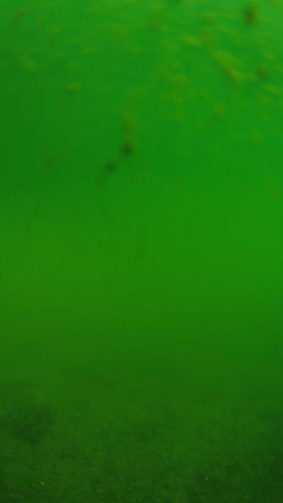 lander_ipcam_20240624093554.png