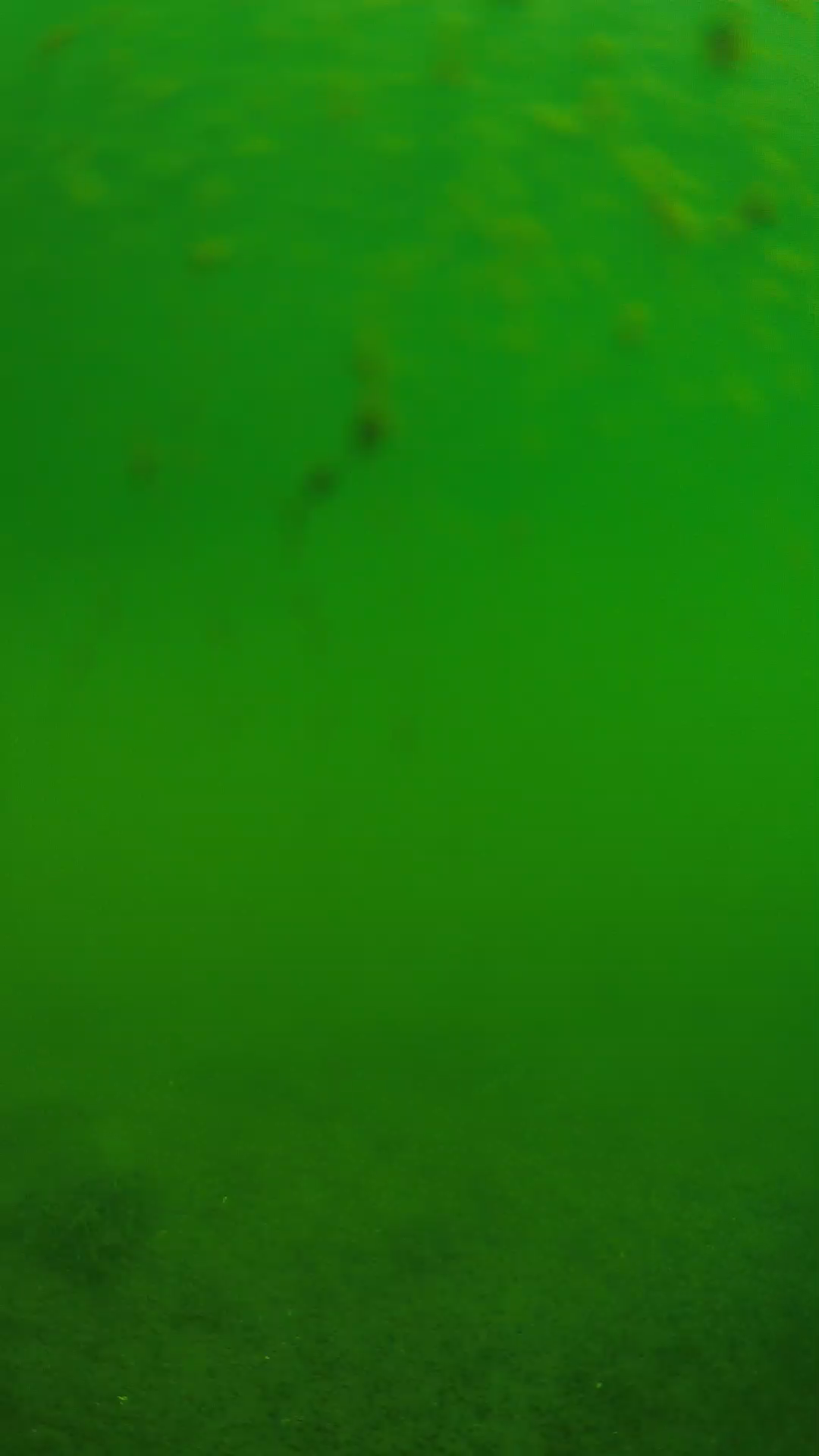 lander_ipcam_20240624093555.png