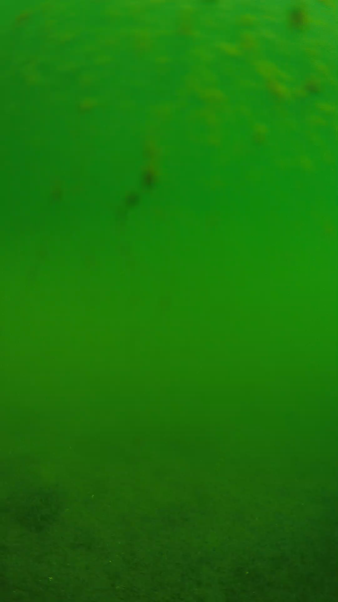 lander_ipcam_20240624093557.png