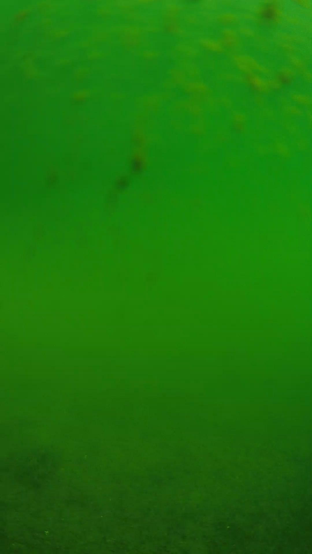 lander_ipcam_20240624093600.png