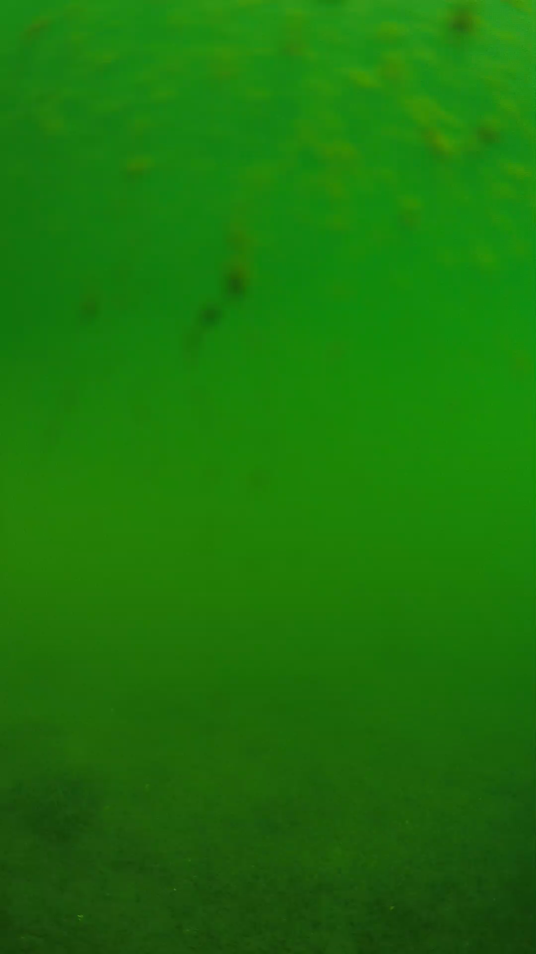lander_ipcam_20240624093602.png