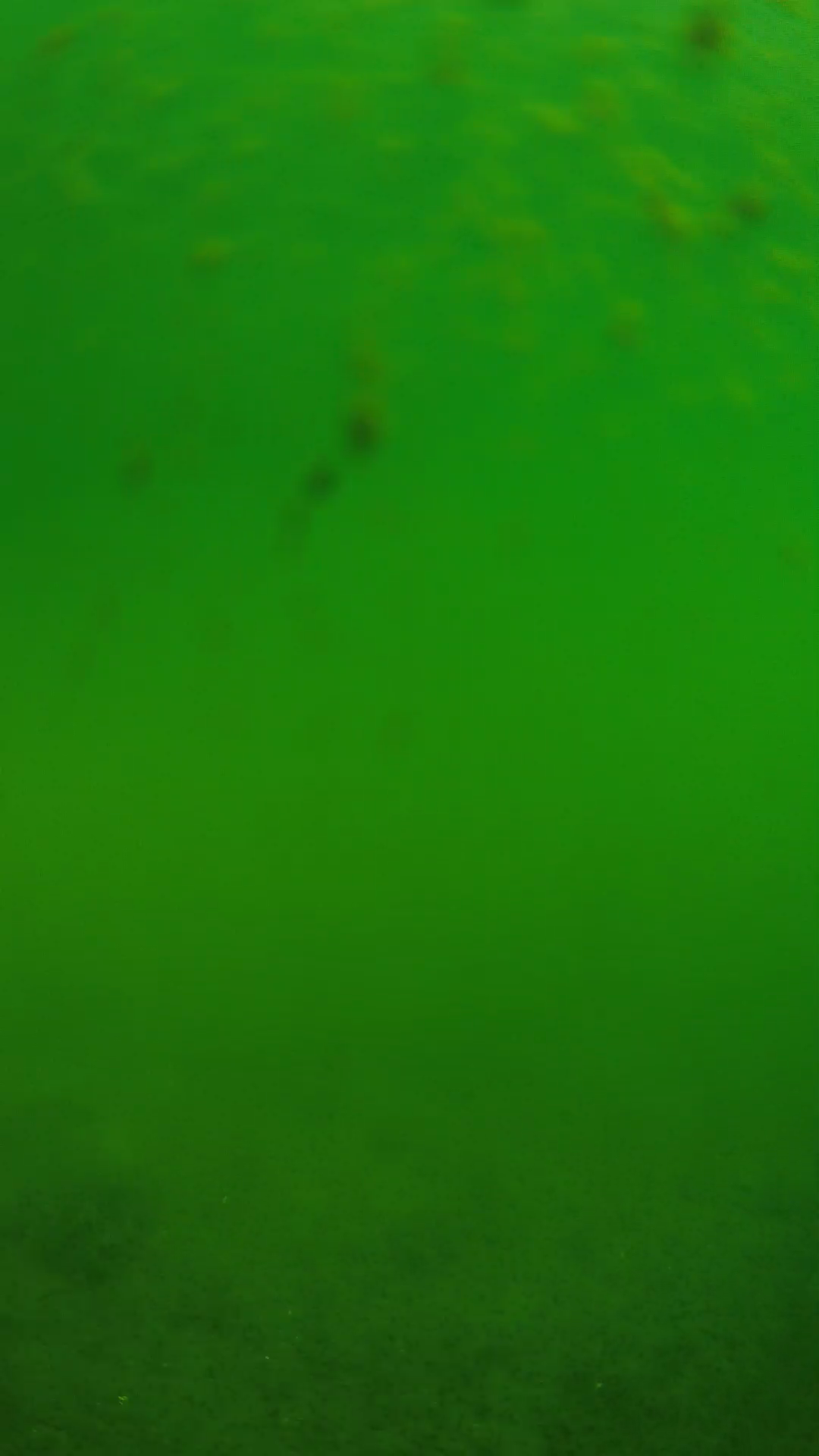 lander_ipcam_20240624093603.png