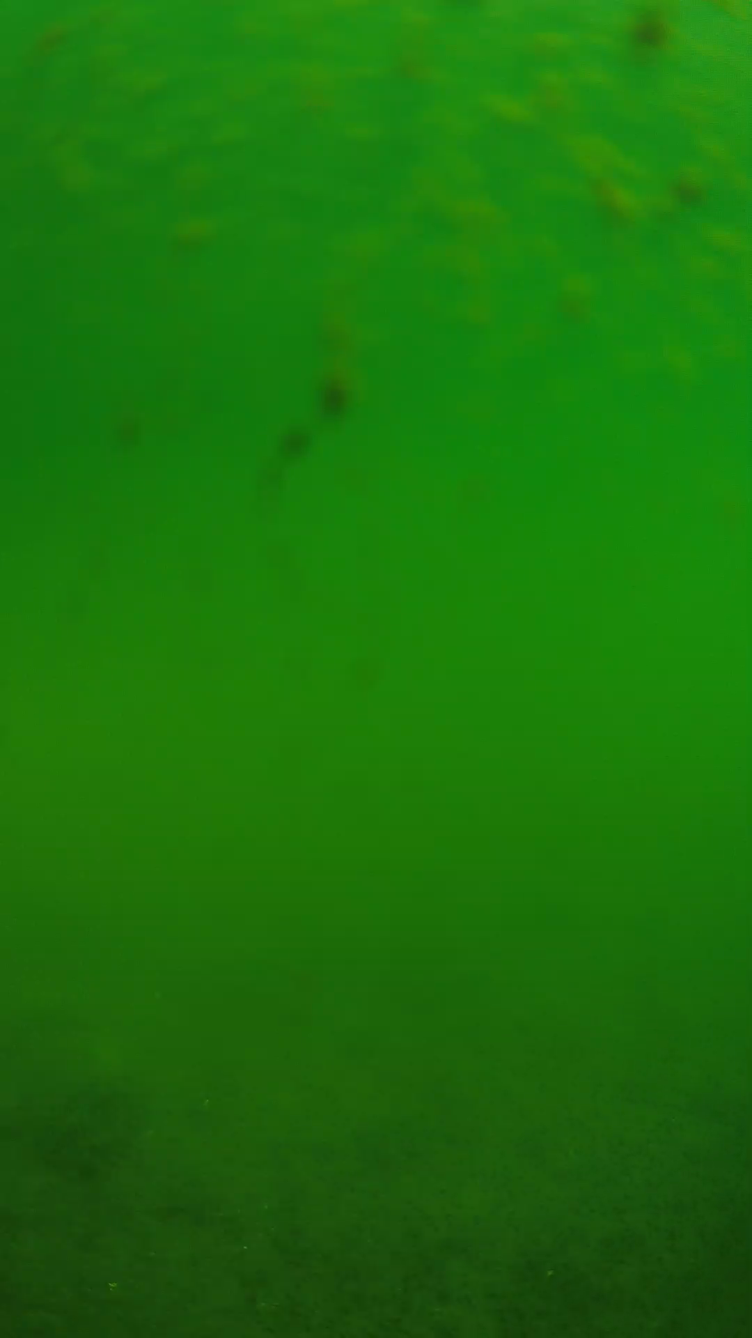lander_ipcam_20240624093604.png
