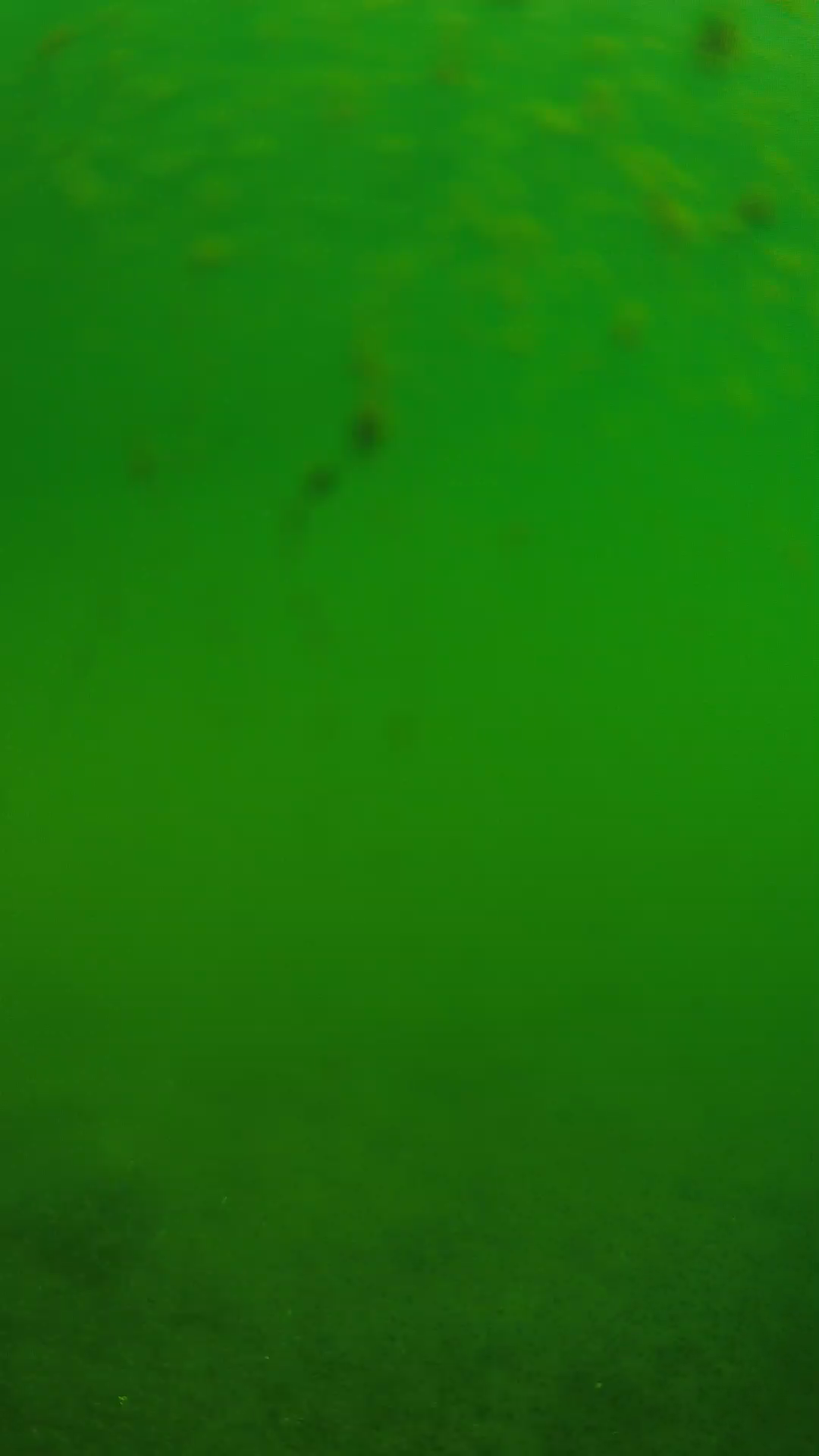 lander_ipcam_20240624093605.png