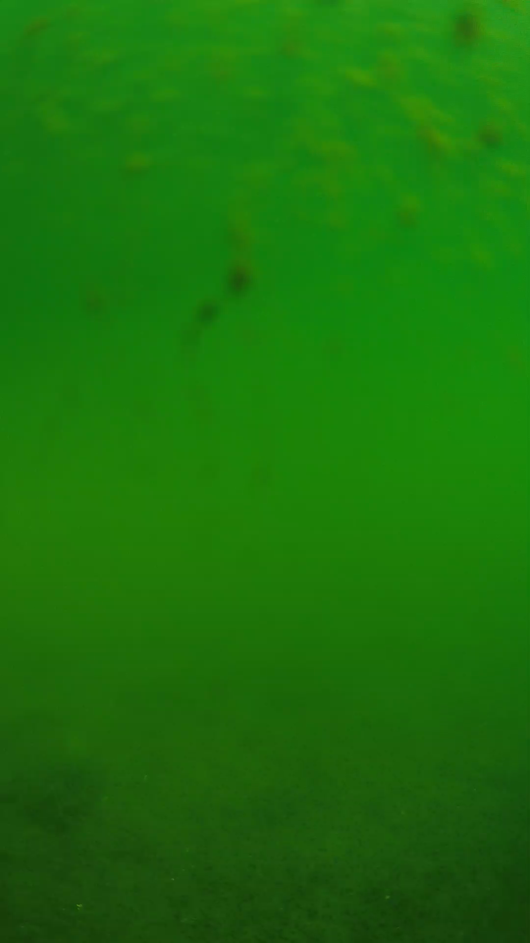 lander_ipcam_20240624093606.png