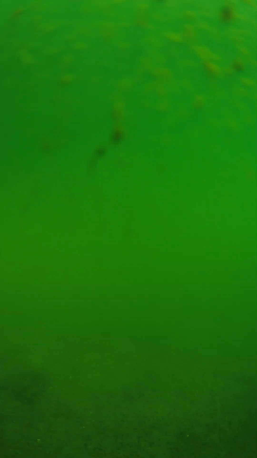 lander_ipcam_20240624093607.png