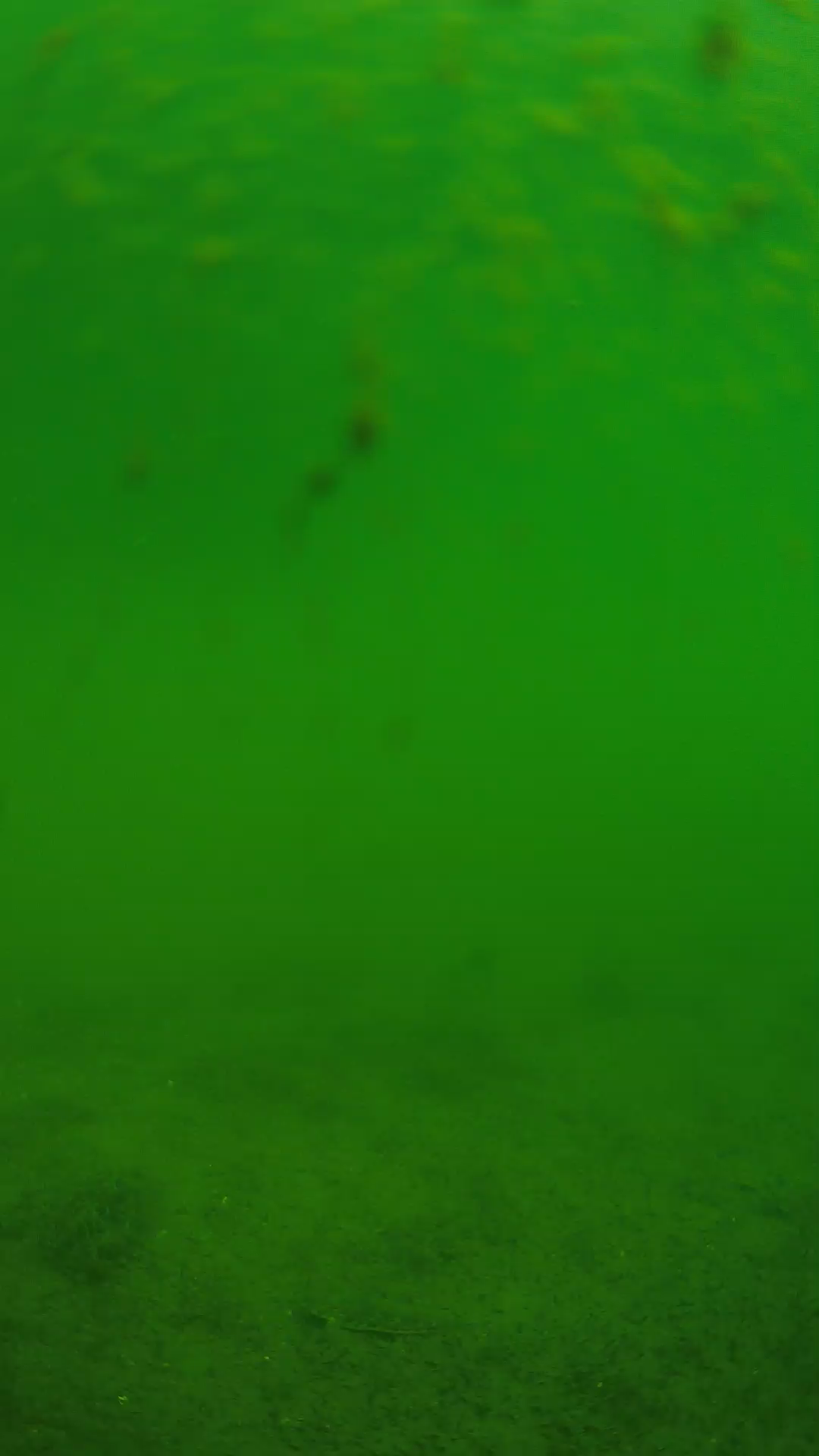 lander_ipcam_20240624100607.png