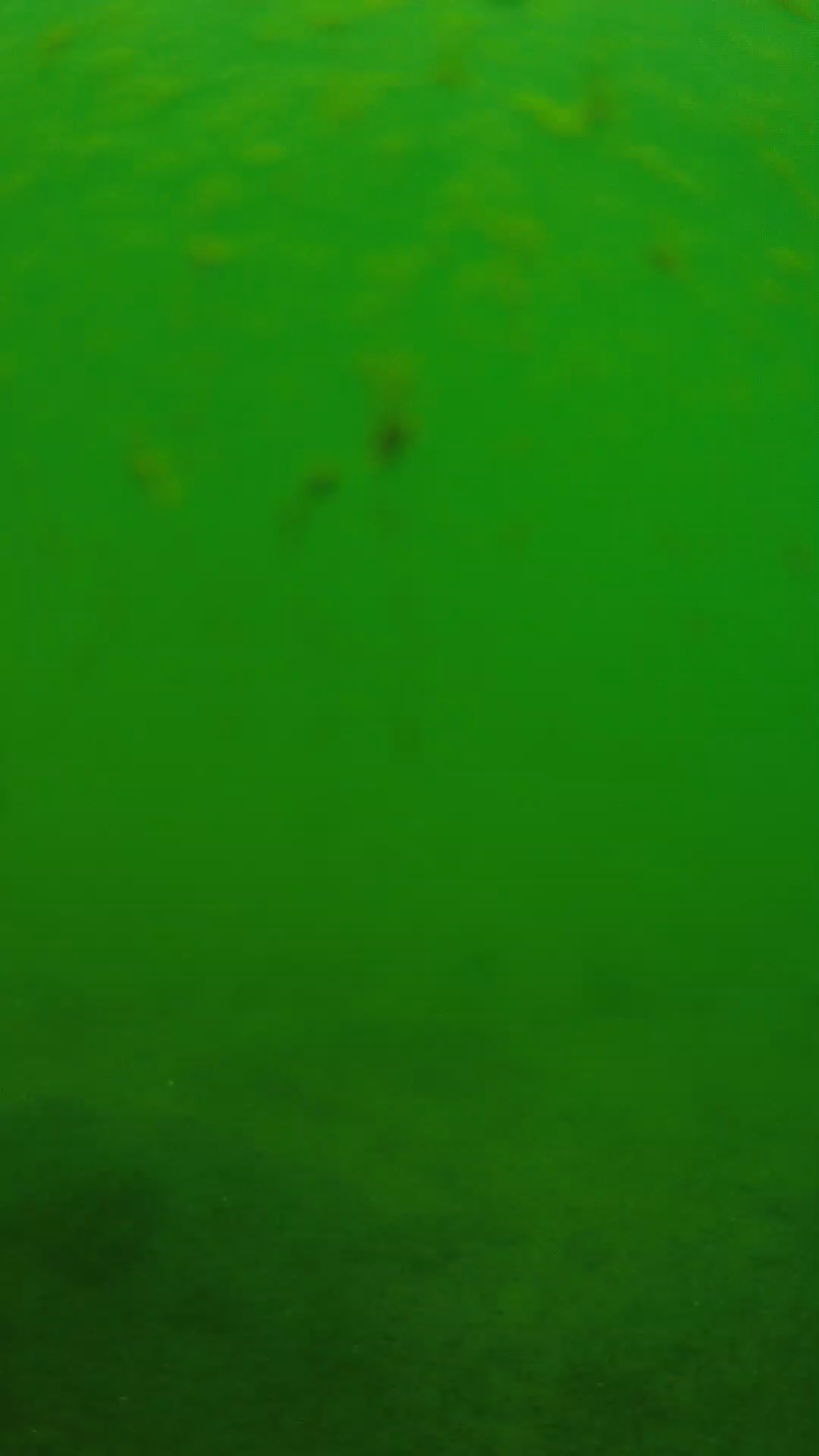 lander_ipcam_20240624113541.png