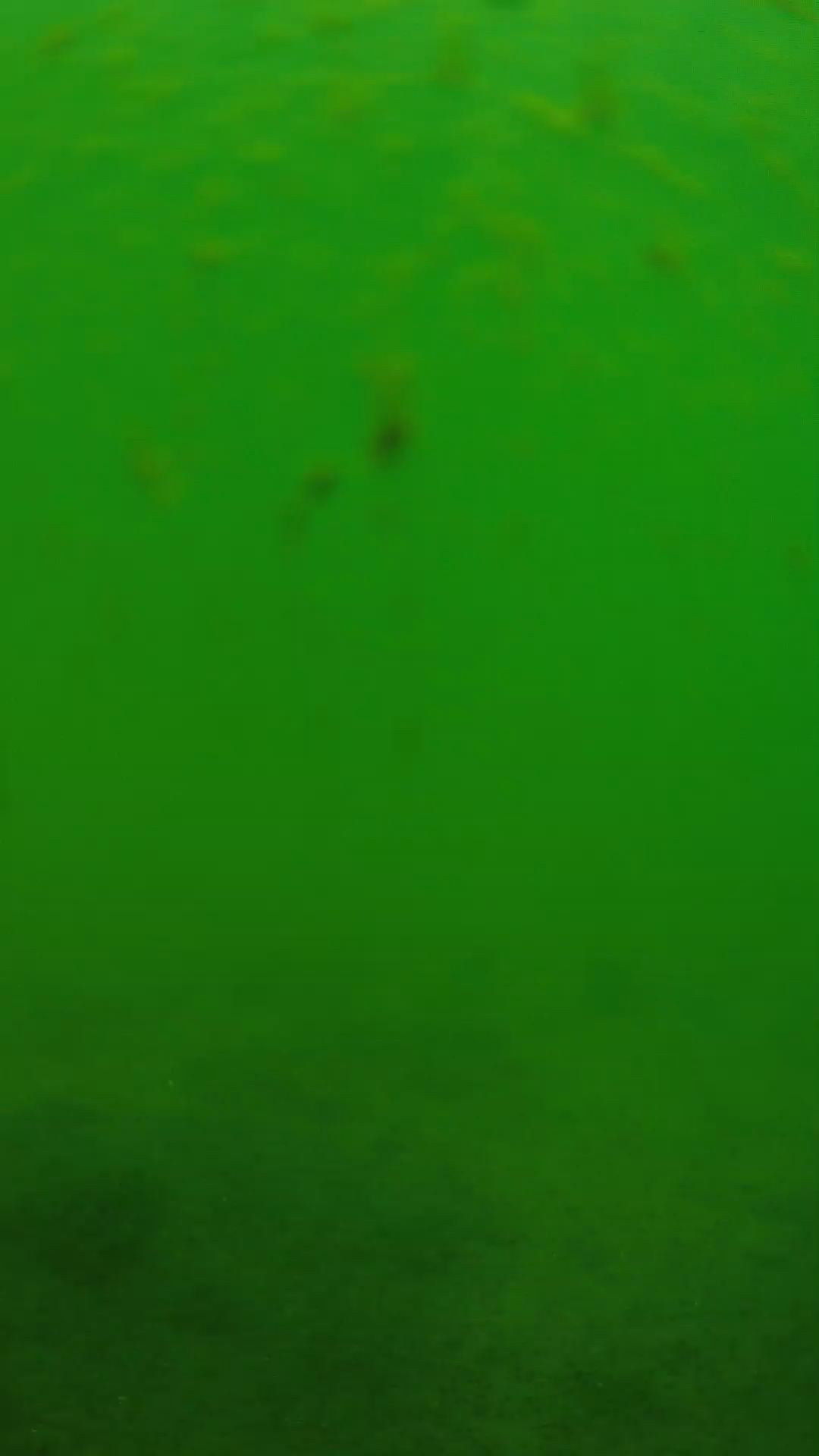 lander_ipcam_20240624113542.png