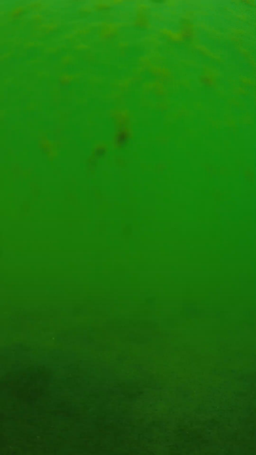 lander_ipcam_20240624113547.png