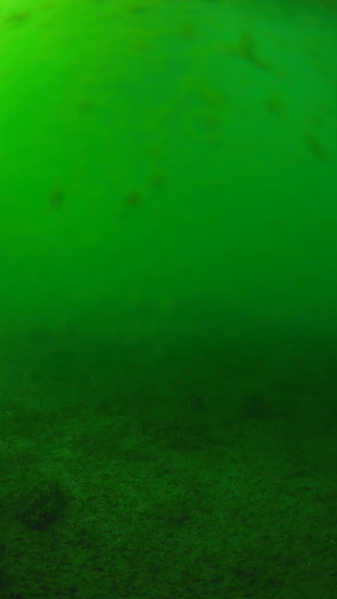 lander_ipcam_20240624153545.png