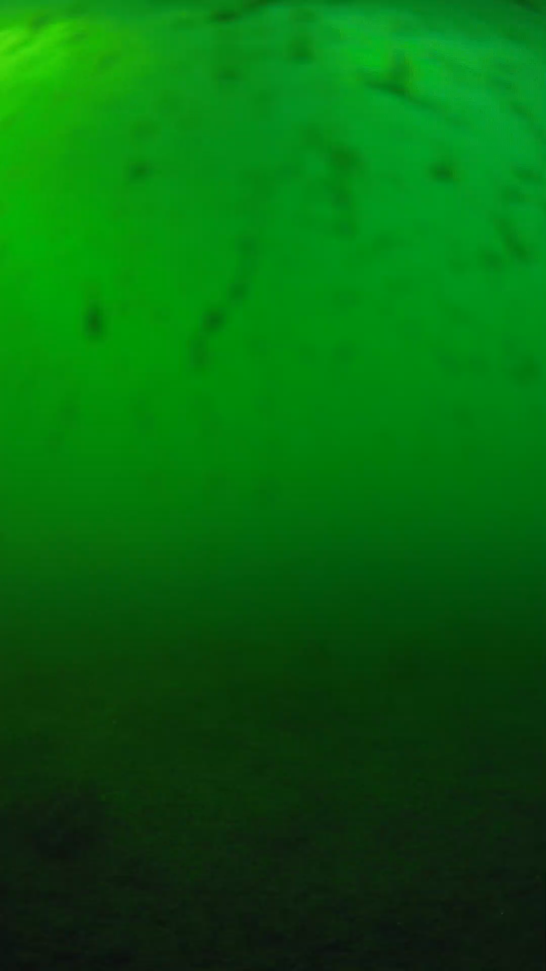 lander_ipcam_20240624173546.png
