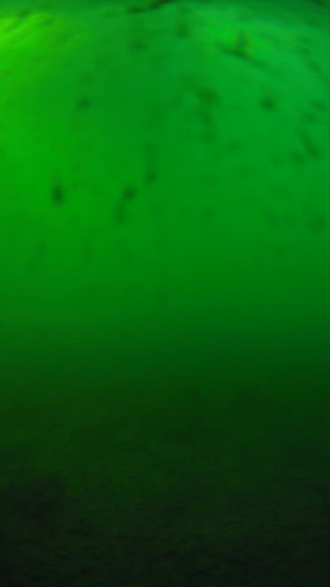 lander_ipcam_20240624173606.png