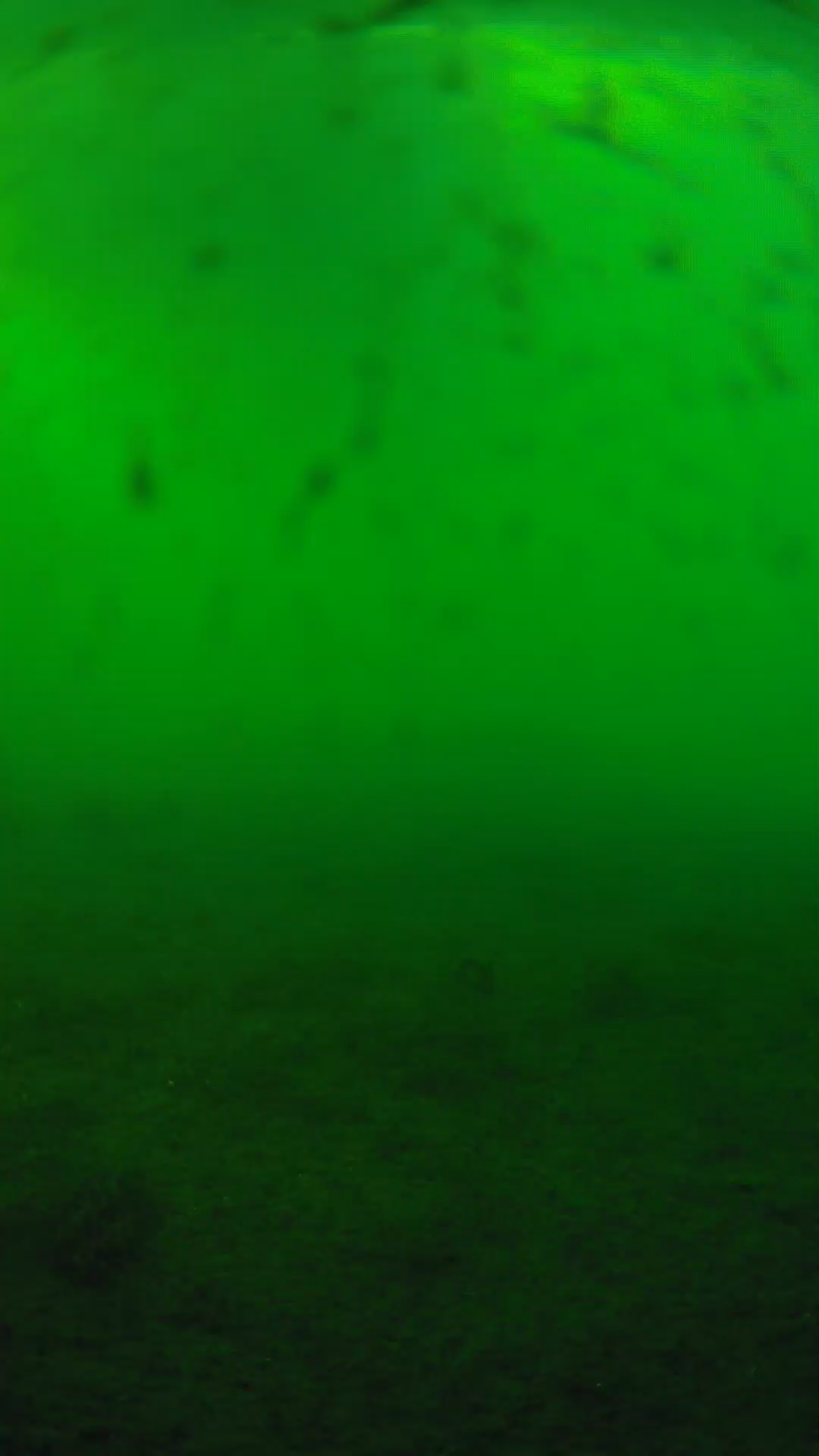 lander_ipcam_20240624180555.png