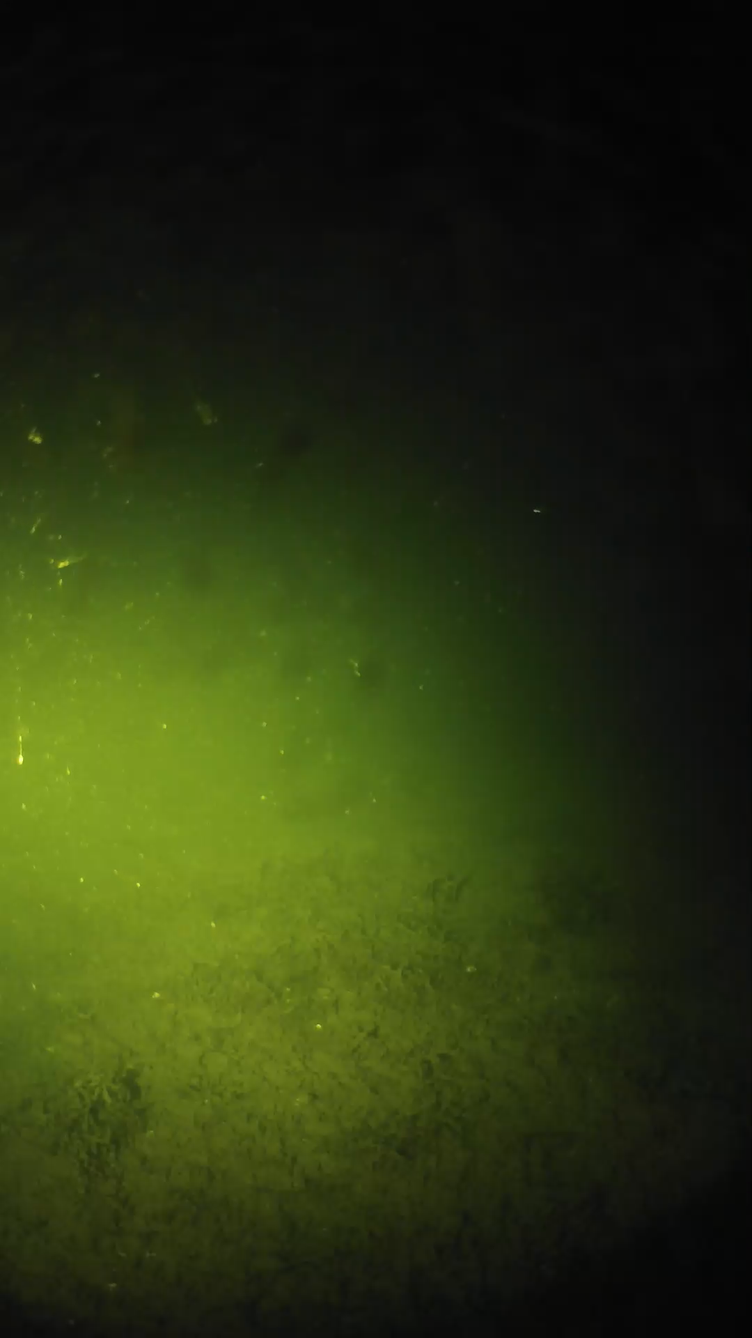 lander_ipcam_20240624213556.png