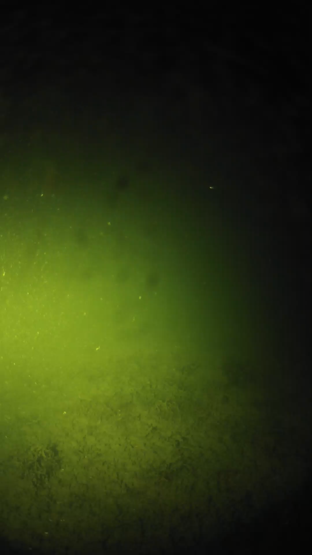 lander_ipcam_20240624223546.png