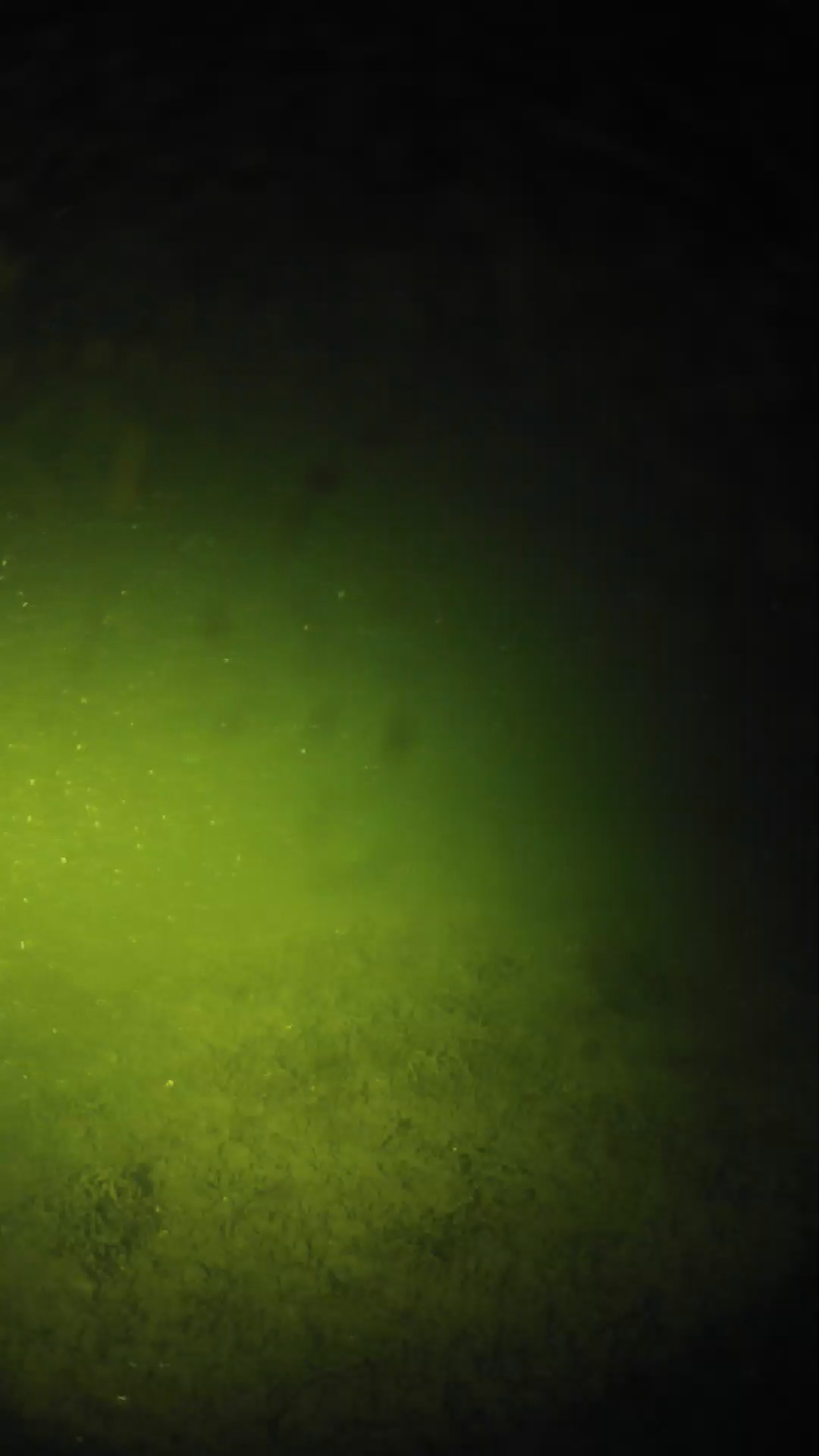 lander_ipcam_20240625000552.png