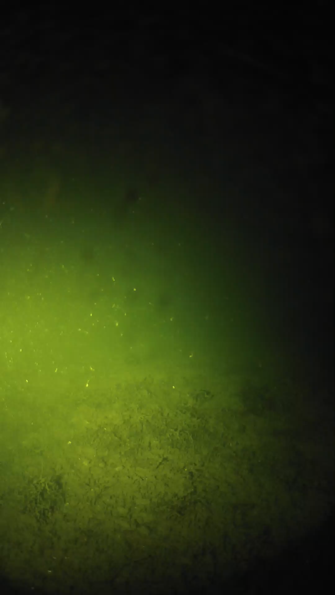 lander_ipcam_20240625010542.png