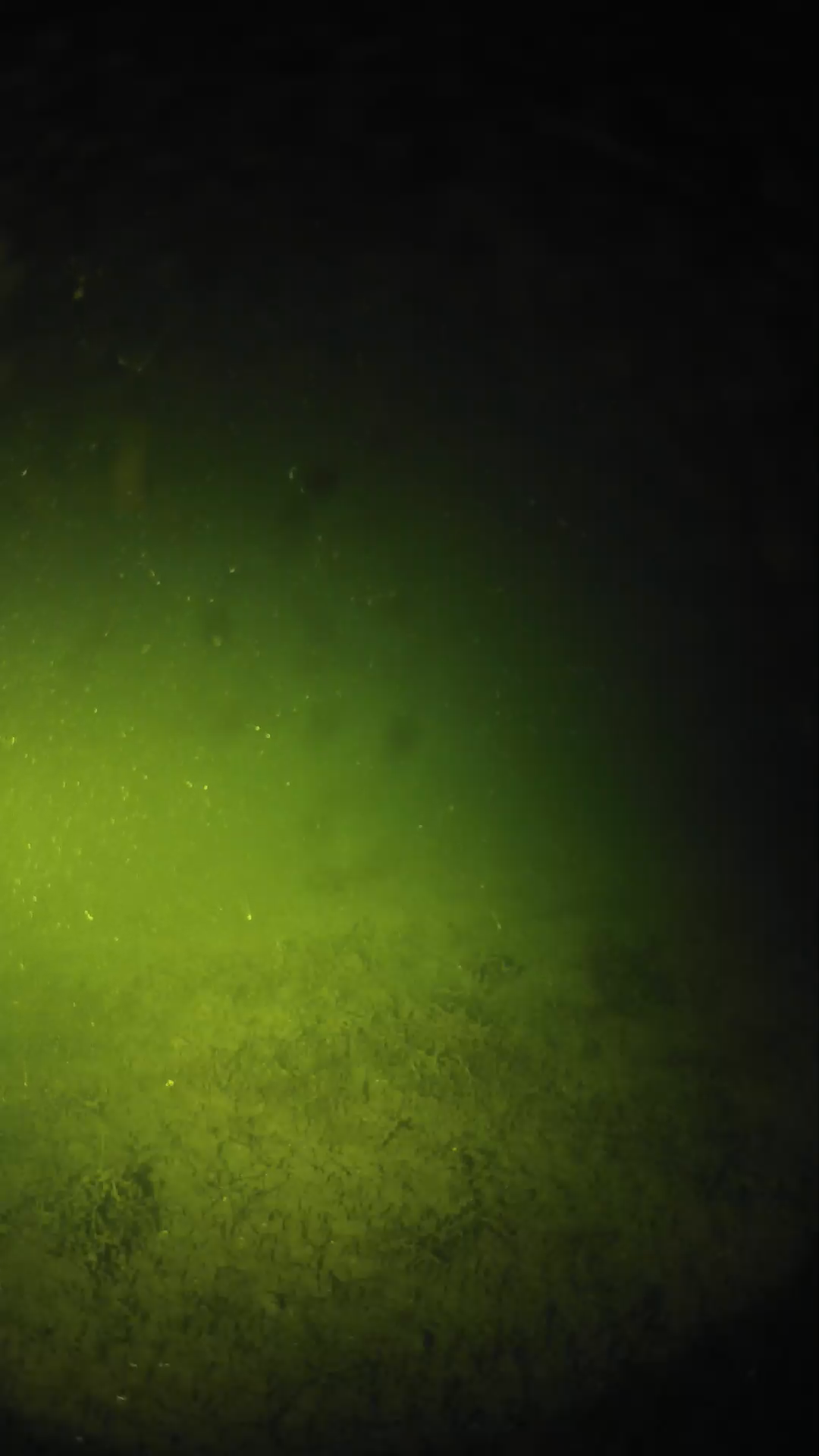 lander_ipcam_20240625013554.png