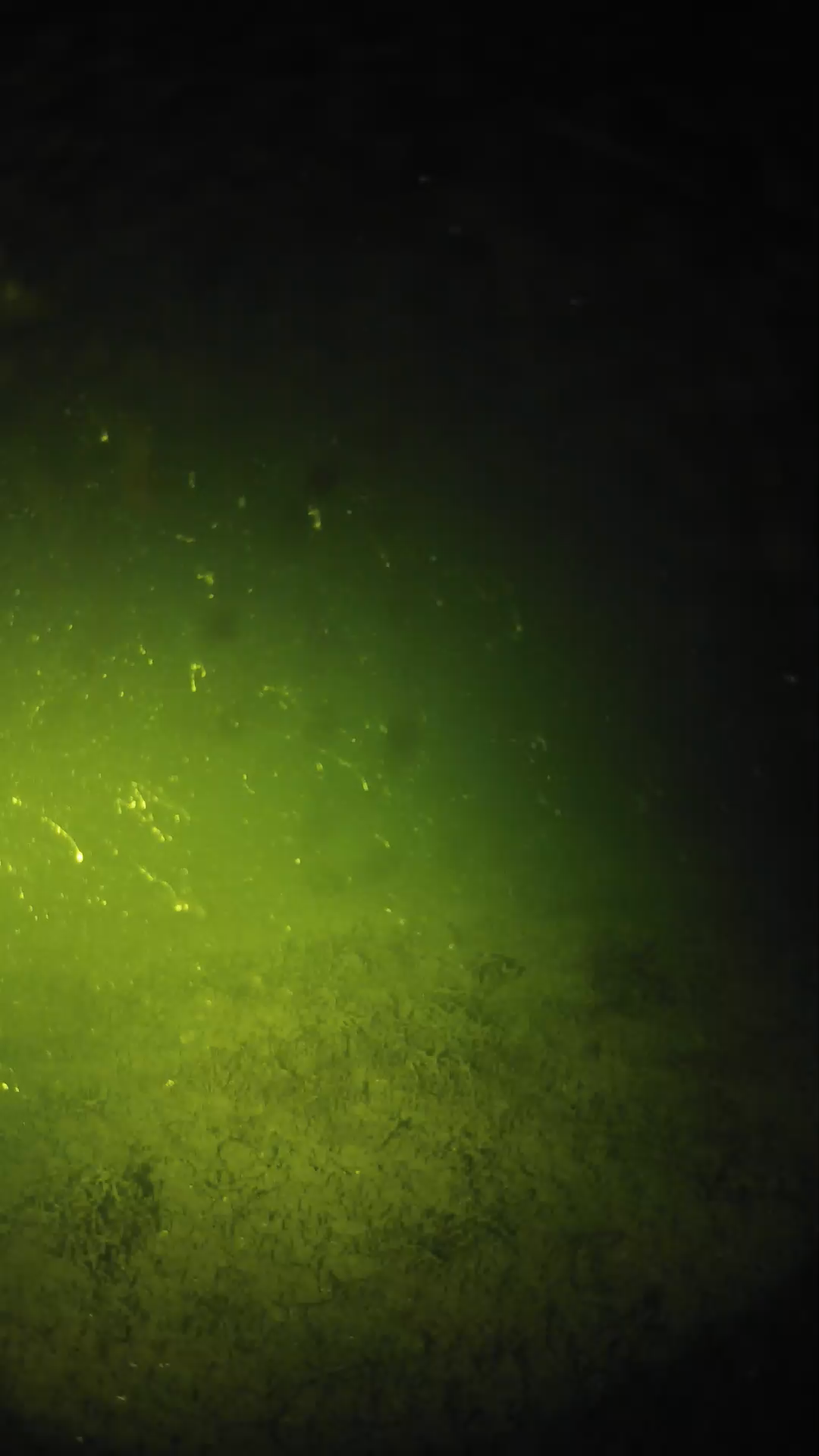 lander_ipcam_20240625020538.png