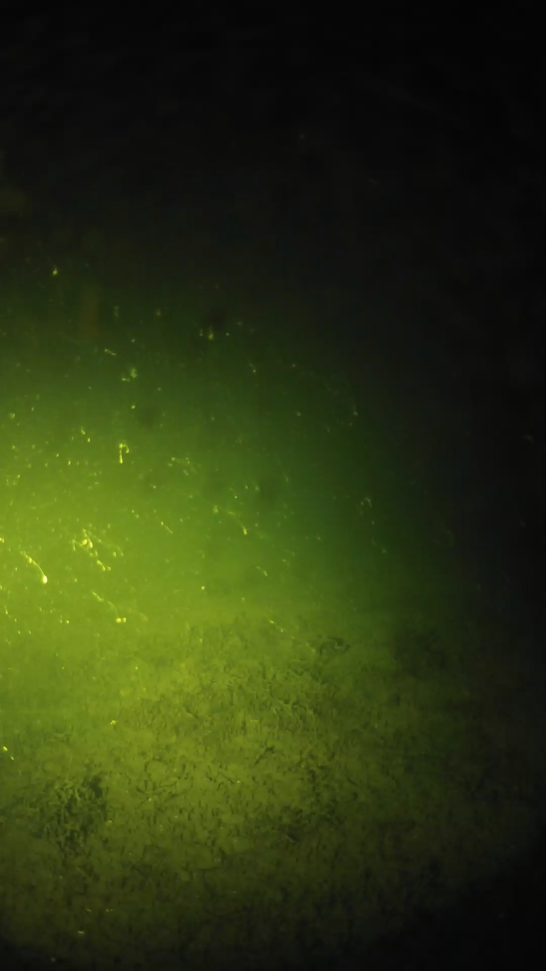 lander_ipcam_20240625020539.png