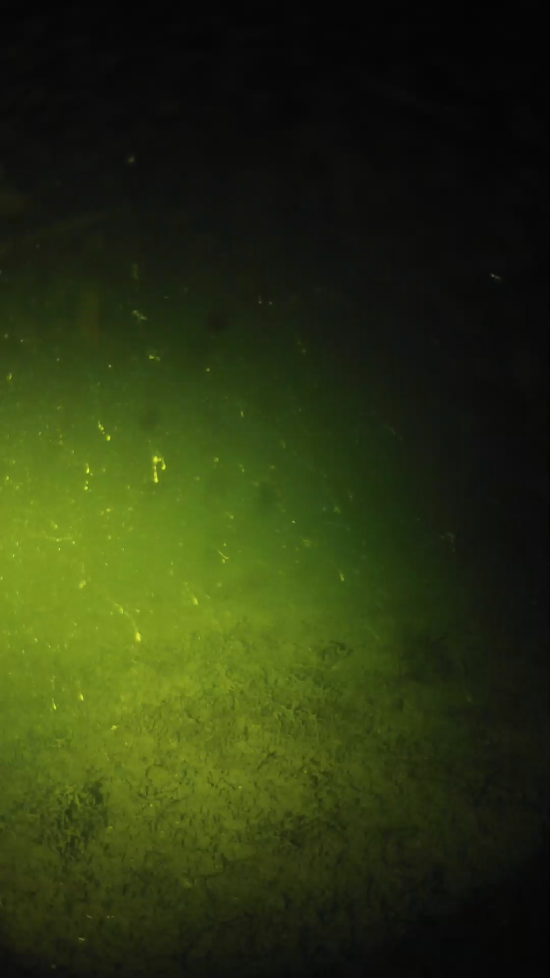 lander_ipcam_20240625020543.png