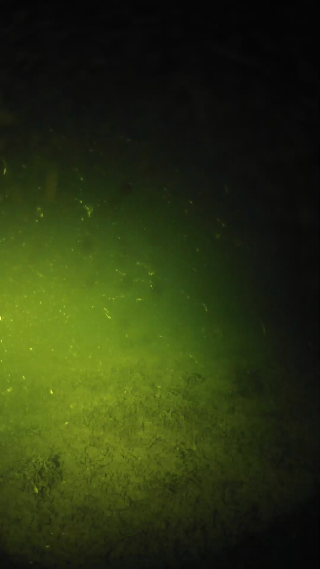 lander_ipcam_20240625020603.png