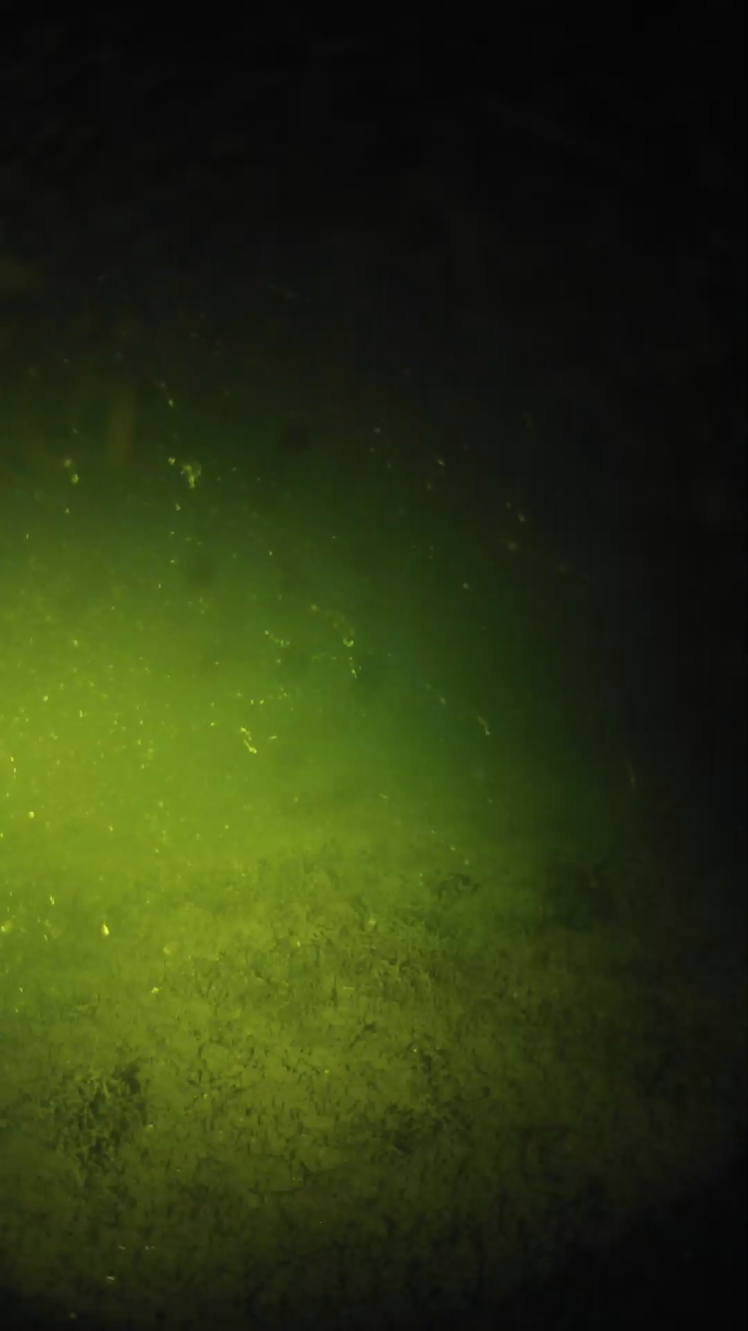 lander_ipcam_20240625020604.png