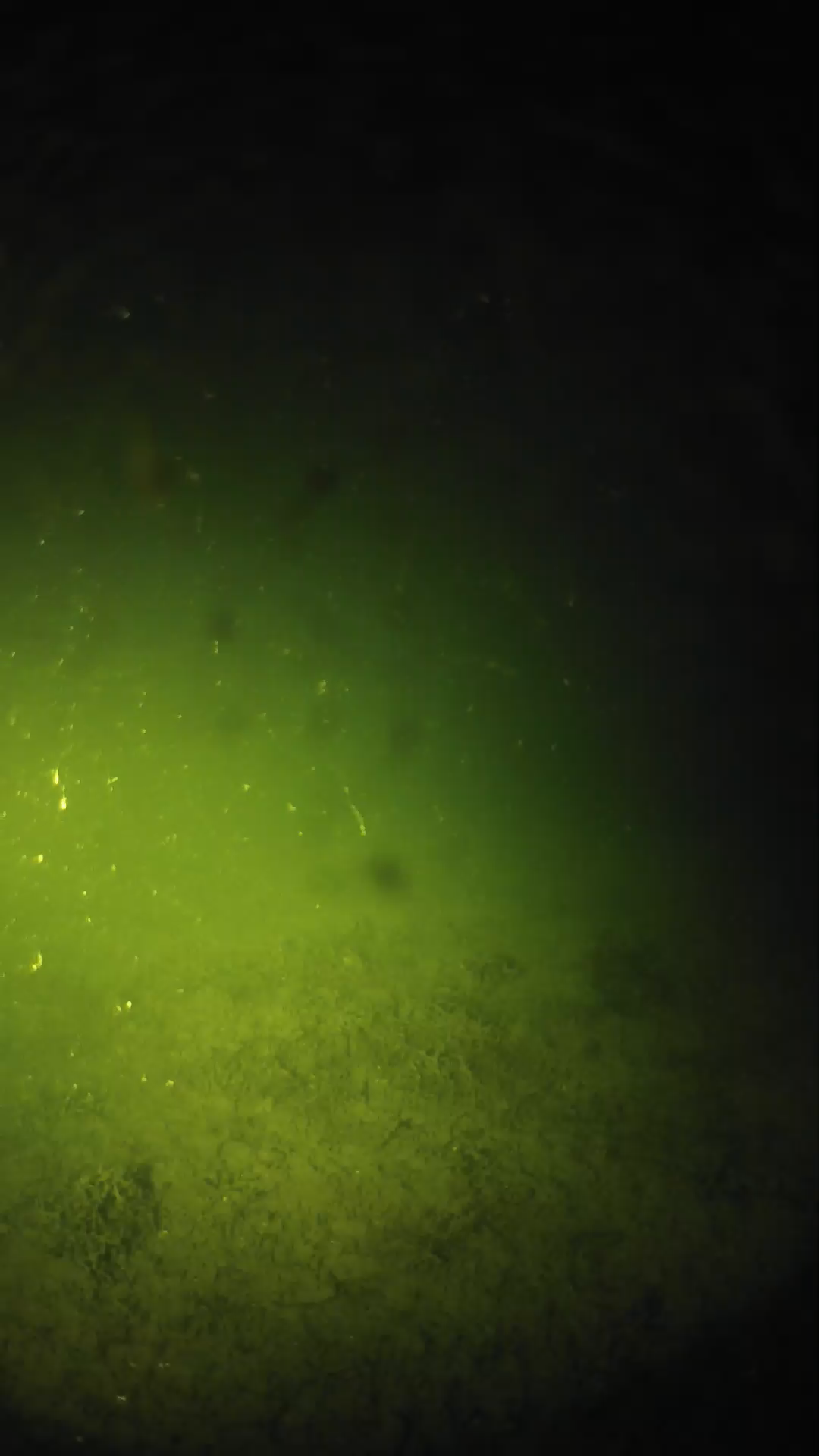 lander_ipcam_20240625023539.png