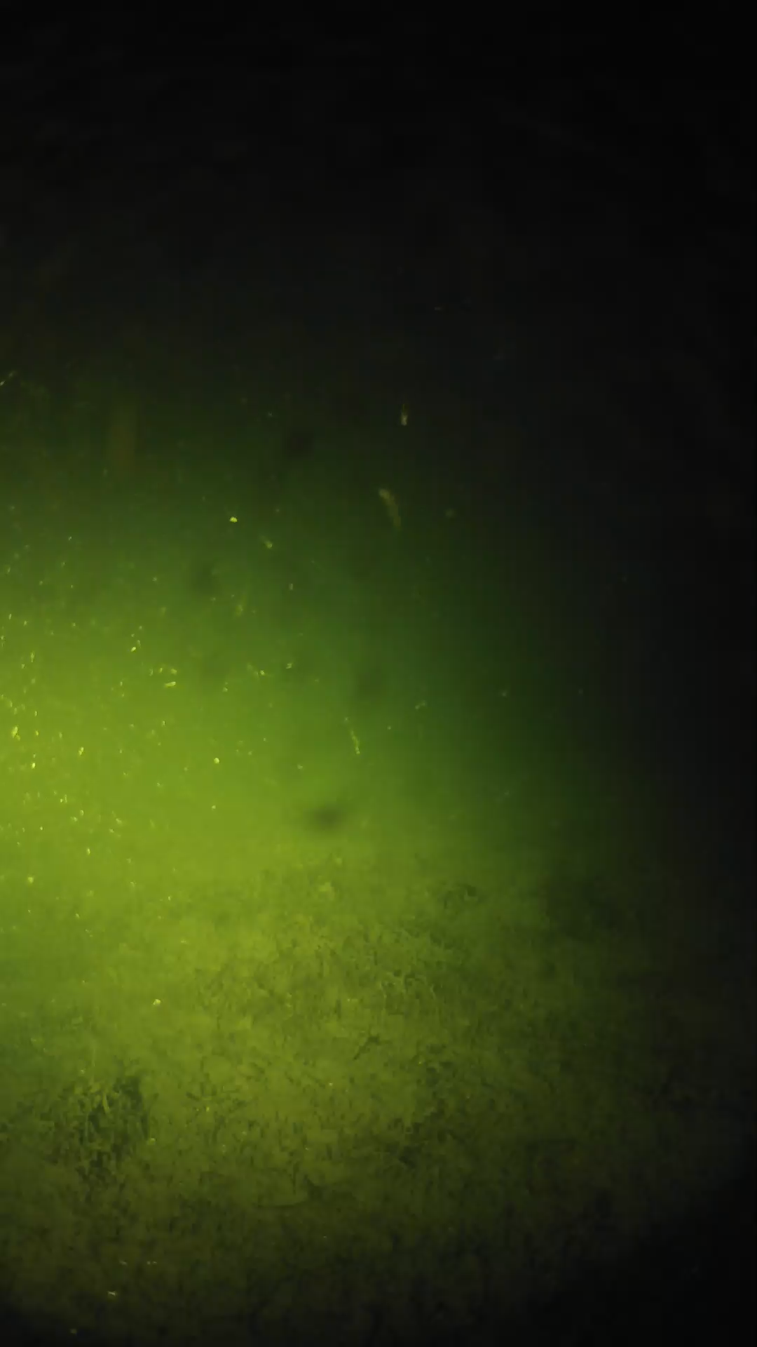lander_ipcam_20240625023550.png