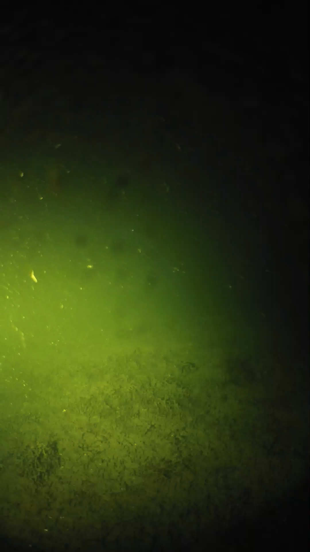 lander_ipcam_20240625030558.png